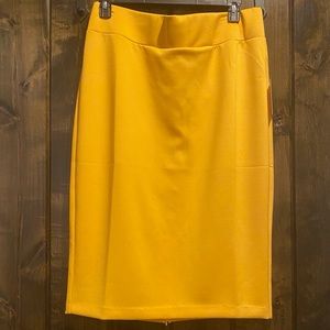 NWT Plus Size Skirt!